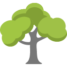 San Luis Obispo Tree Removal