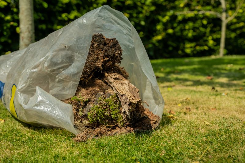 Dogwood Tree Removal